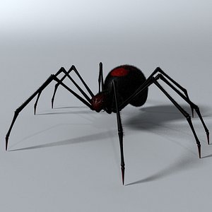 Black Spider RIGGED