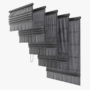 Roman Curtain