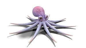 3D Octopus Nona PBR