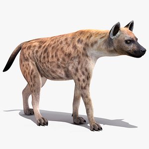3D walking pose hyena model