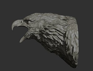 Bald Eagle head 3D model