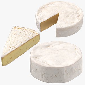 brie cheese 3D