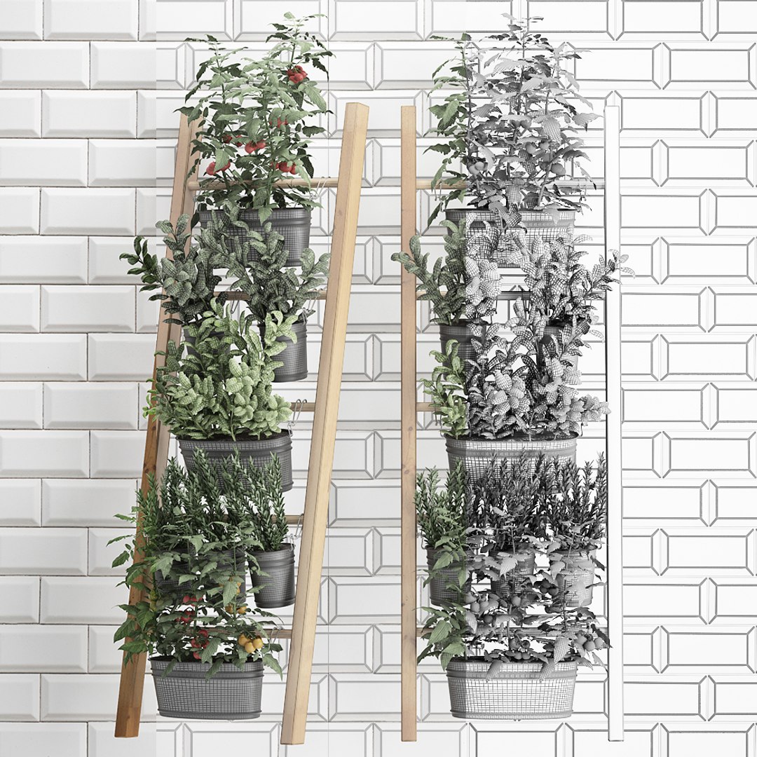 3D decorative plants kitchen railing https://p.turbosquid.com/ts-thumb/Uy/XdcTm3/BOnLx41X/plantskitchenblack1809201907/jpg/1568899328/1920x1080/fit_q87/1ec4e004b14da51f9a3084e342ea7cab7491f314/plantskitchenblack1809201907.jpg
