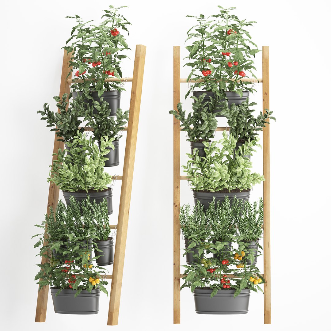 3D decorative plants kitchen railing https://p.turbosquid.com/ts-thumb/Uy/XdcTm3/JwdWQbnN/plantskitchenblack1809201903/jpg/1568899328/1920x1080/fit_q87/3ffdf8622f8c42ff41bbe7947e995bd5dd6e80f3/plantskitchenblack1809201903.jpg