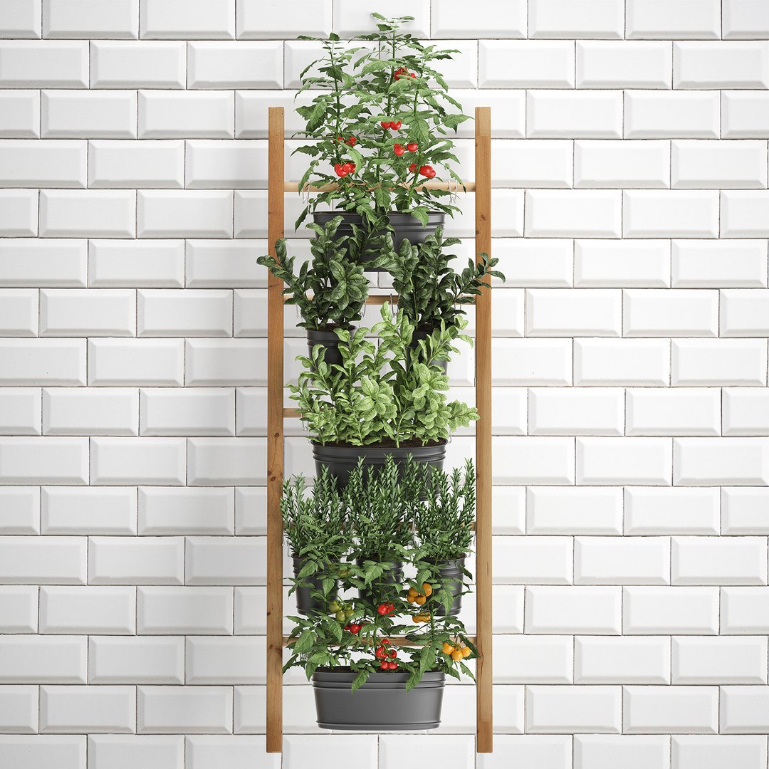 3D decorative plants kitchen railing https://p.turbosquid.com/ts-thumb/Uy/XdcTm3/KAX48tj7/plantskitchenblack1809201902/jpg/1568899328/1920x1080/fit_q87/ea0a5abd6fd00cab5cfe2d8f6c48a5bd1aac499b/plantskitchenblack1809201902.jpg