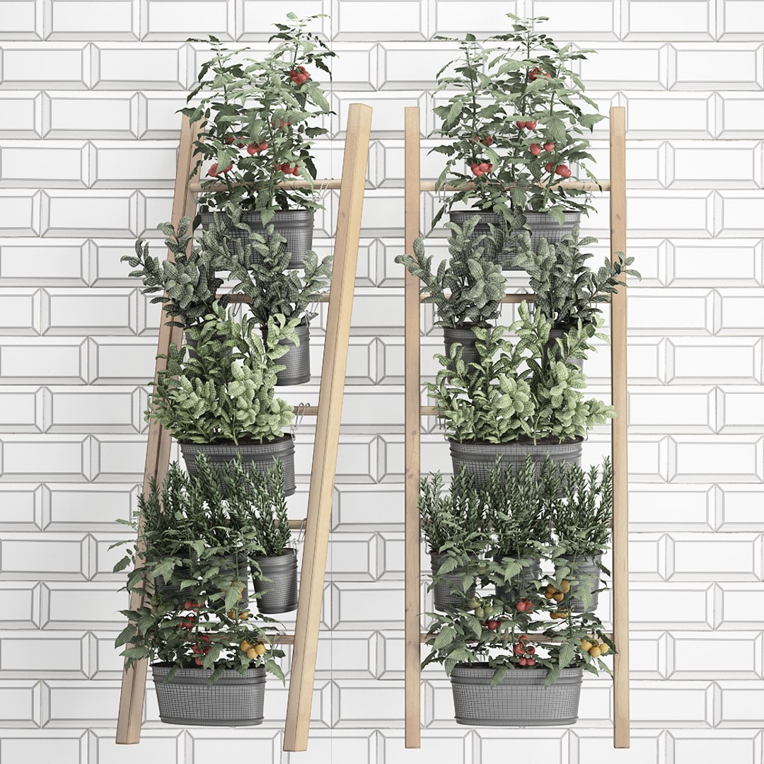 3D decorative plants kitchen railing https://p.turbosquid.com/ts-thumb/Uy/XdcTm3/VT9p2wQp/plantskitchenblack1809201908/jpg/1568899328/1920x1080/fit_q87/696e62845b0a16429e437e5cd17f84dacc8a14d1/plantskitchenblack1809201908.jpg