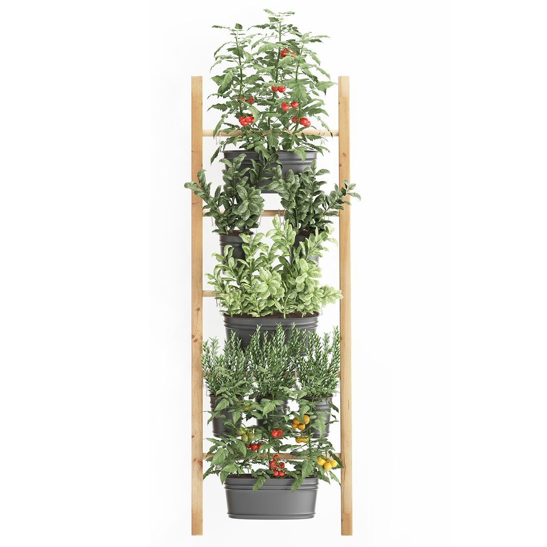 3D decorative plants kitchen railing https://p.turbosquid.com/ts-thumb/Uy/XdcTm3/WFP8jeFW/plantskitchenblack1809201905/jpg/1568899328/1920x1080/fit_q87/087156df49f29637bbd0845207275fa3f8399a18/plantskitchenblack1809201905.jpg