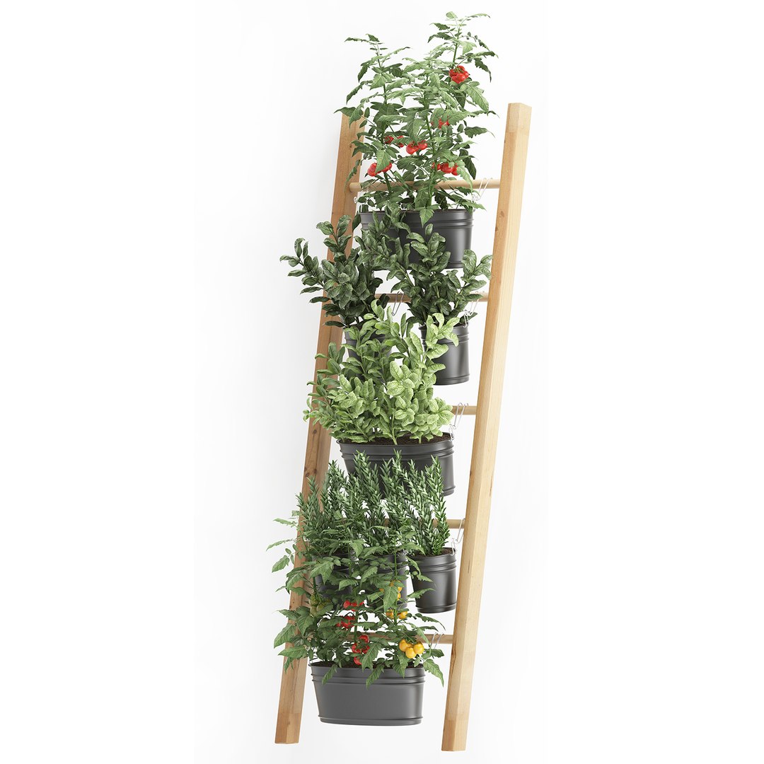 3D decorative plants kitchen railing https://p.turbosquid.com/ts-thumb/Uy/XdcTm3/l1fpu0eU/plantskitchenblack1809201904/jpg/1568899328/1920x1080/fit_q87/1b317cda15f6a5e172740f83e58f5cc28c0bb67c/plantskitchenblack1809201904.jpg