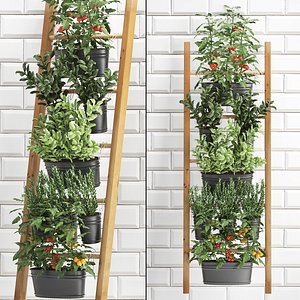 Decorative plants for the kitchen on railing 36