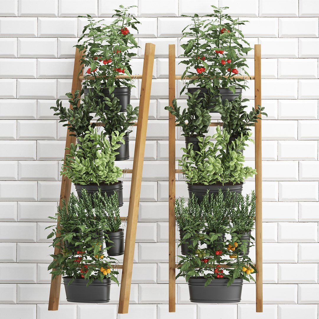 3D decorative plants kitchen railing https://p.turbosquid.com/ts-thumb/Uy/XdcTm3/wdcjvIIq/plantskitchenblack1809201901/jpg/1568899327/1920x1080/fit_q87/89dee1186ca2f505abd19b873db6490a2707d402/plantskitchenblack1809201901.jpg