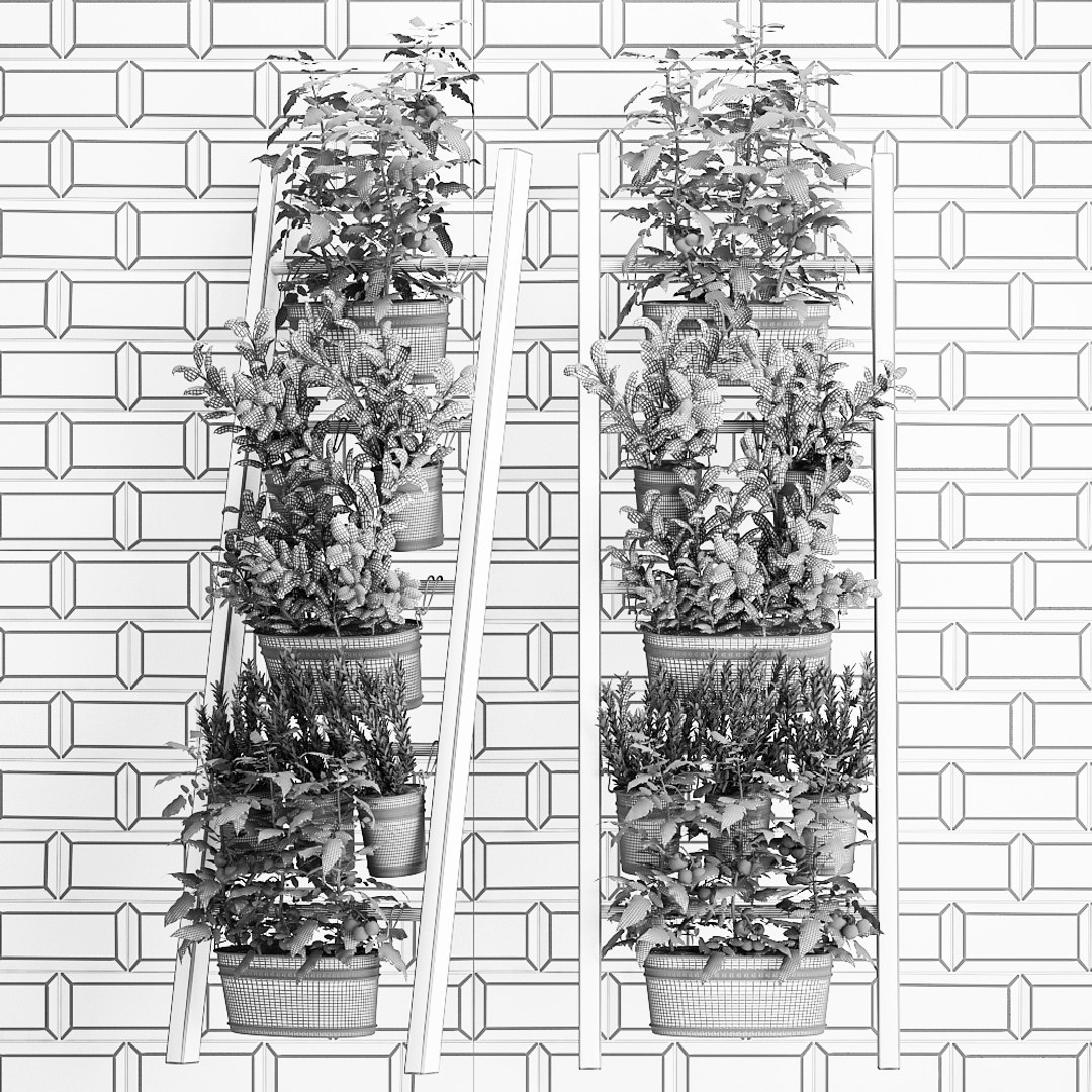 3D decorative plants kitchen railing https://p.turbosquid.com/ts-thumb/Uy/XdcTm3/wzyBz3wW/plantskitchenblack1809201909/jpg/1568899328/1920x1080/fit_q87/c0f0bd60f50094ef612e7cc204c2b9c507725cf3/plantskitchenblack1809201909.jpg