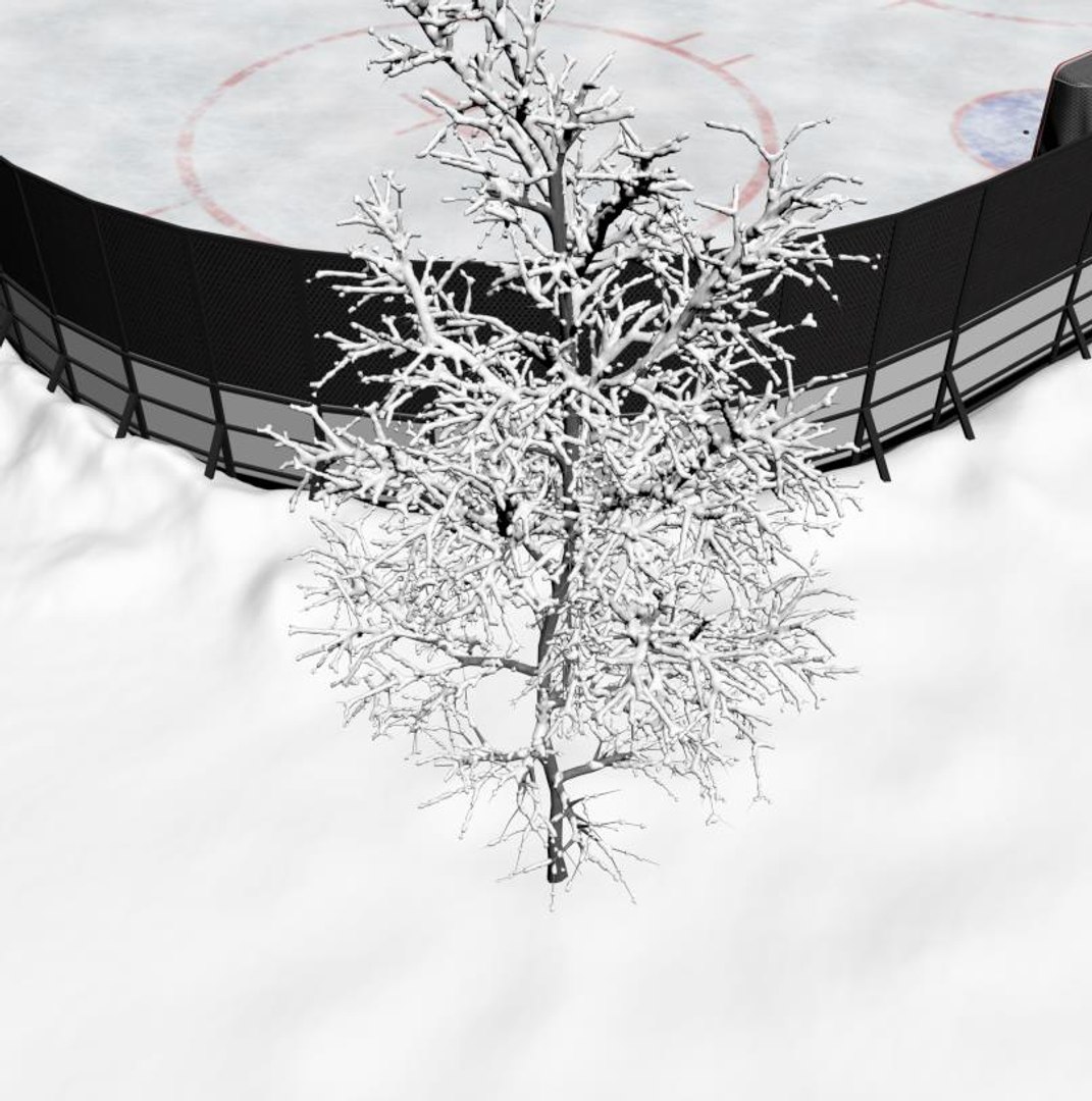 hockey court model https://p.turbosquid.com/ts-thumb/Uy/dwAPVM/LPBfGBNz/20200908_222105/jpg/1599589304/1920x1080/fit_q87/6ad7dfd3f592bc142b71a7c215319d7d4ff441b4/20200908_222105.jpg