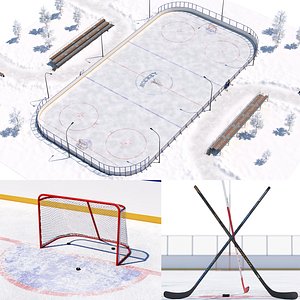 hockey court model
