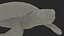 Realistic Green Sea Turtle 3D
