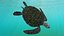 Realistic Green Sea Turtle 3D