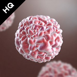 norovirus virus 3d model