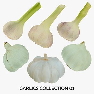 Garlics Collection 01 - 6 models RAW Scans 3D model