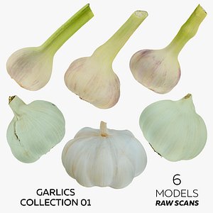 Garlics Collection 01 - 6 models RAW Scans 3D model