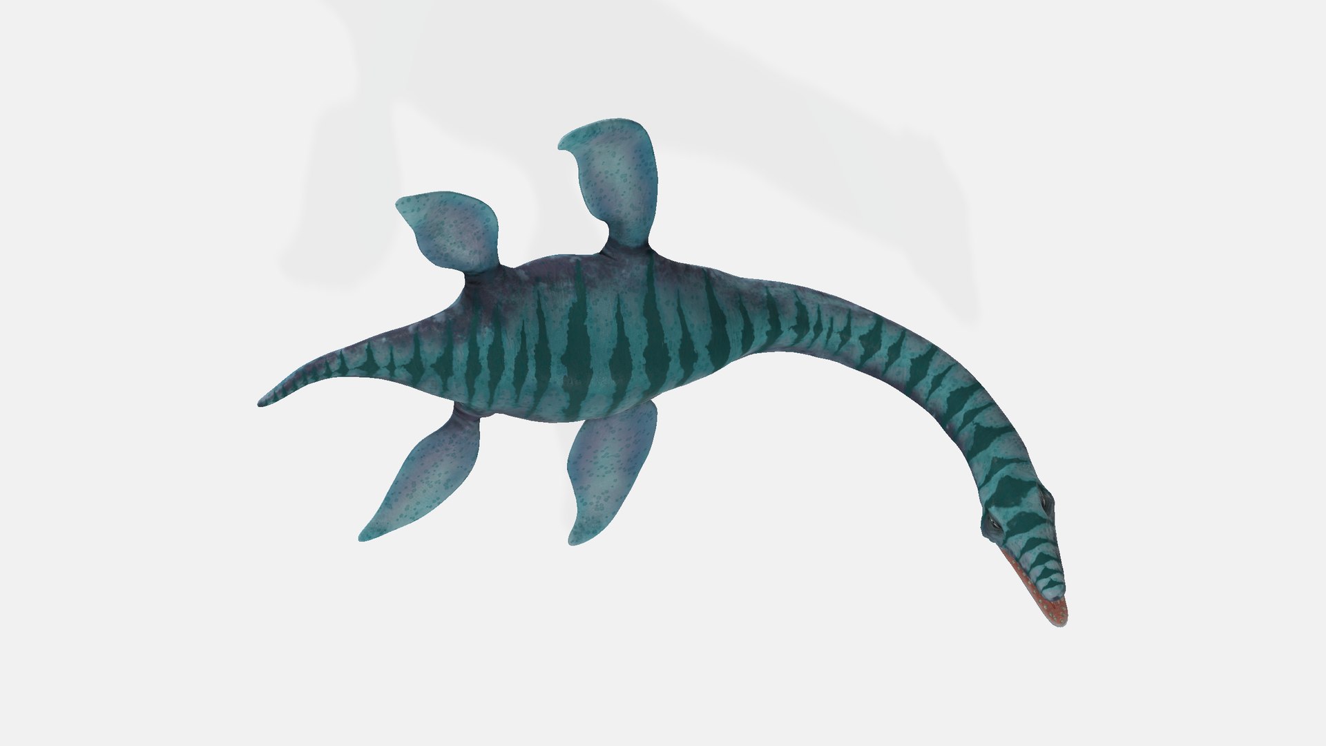 3D plesiosauria plesiosaurs https://p.turbosquid.com/ts-thumb/Uz/94uD4p/W7/plesiosaurus0012/png/1737725036/1920x1080/fit_q87/f35f466b47f00c6b2142f40273f943fc7aac9029/plesiosaurus0012.jpg