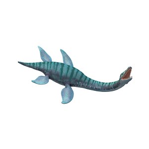 3D plesiosauria plesiosaurs
