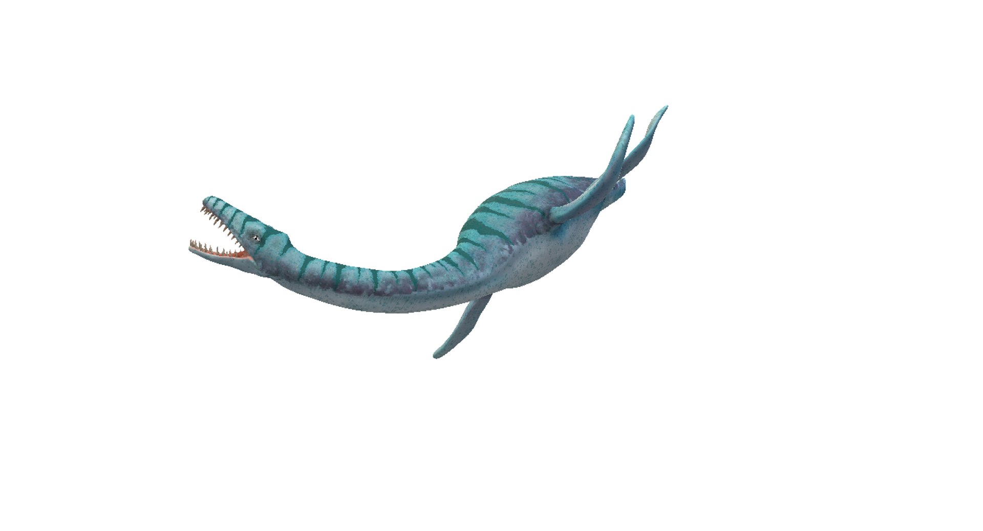 3D plesiosauria plesiosaurs https://p.turbosquid.com/ts-thumb/Uz/94uD4p/uSrFFD2k/3/png/1514461438/1920x1080/fit_q87/1ee9d0b1bd2406f69822cf21c55e2c96b0e98c4b/3.jpg