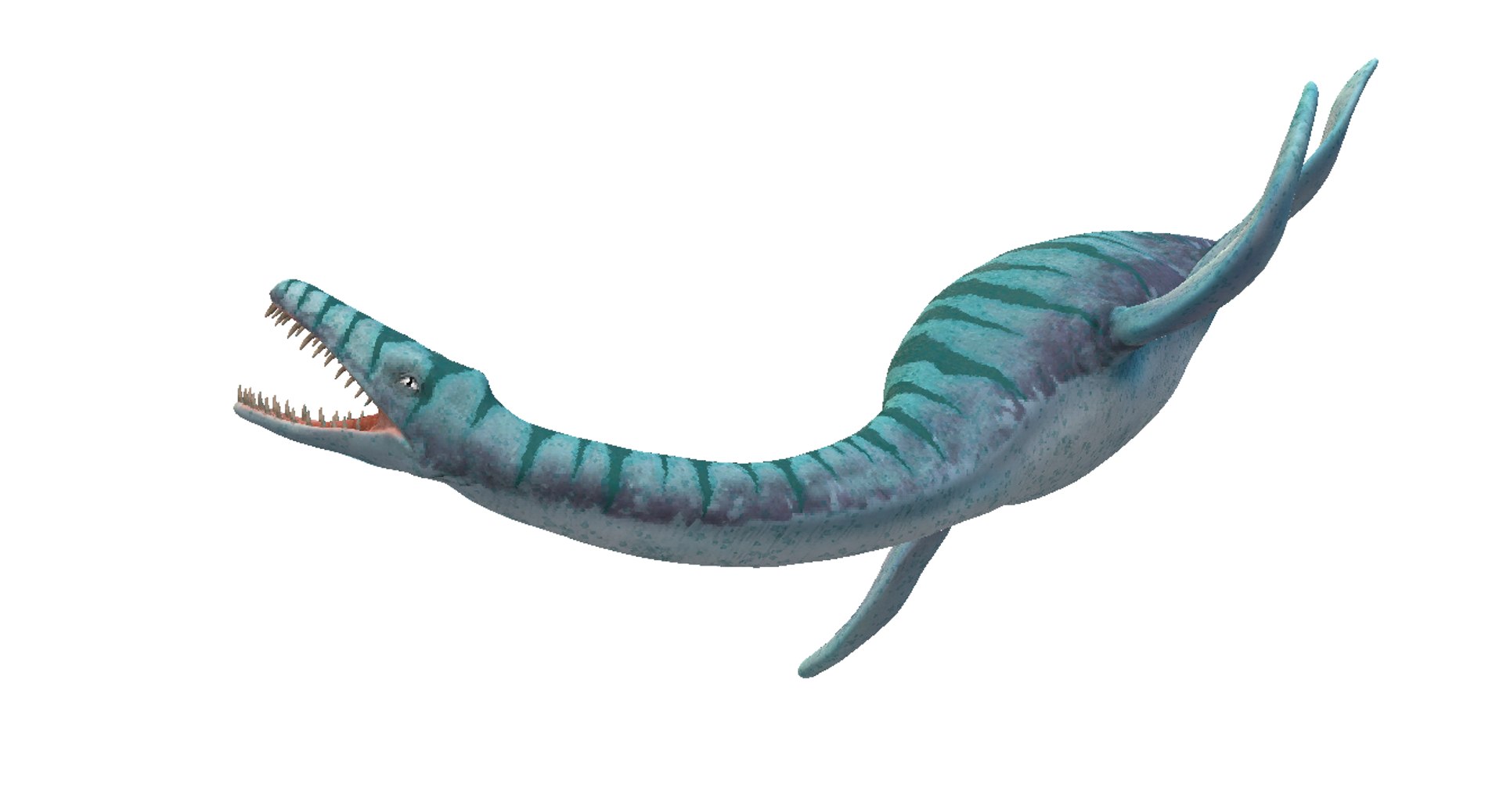 3D plesiosauria plesiosaurs - TurboSquid 1237716