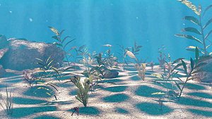 Ocean Under Water Scene Animated 3D