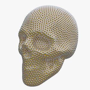 Lattice Skull 01 3D model