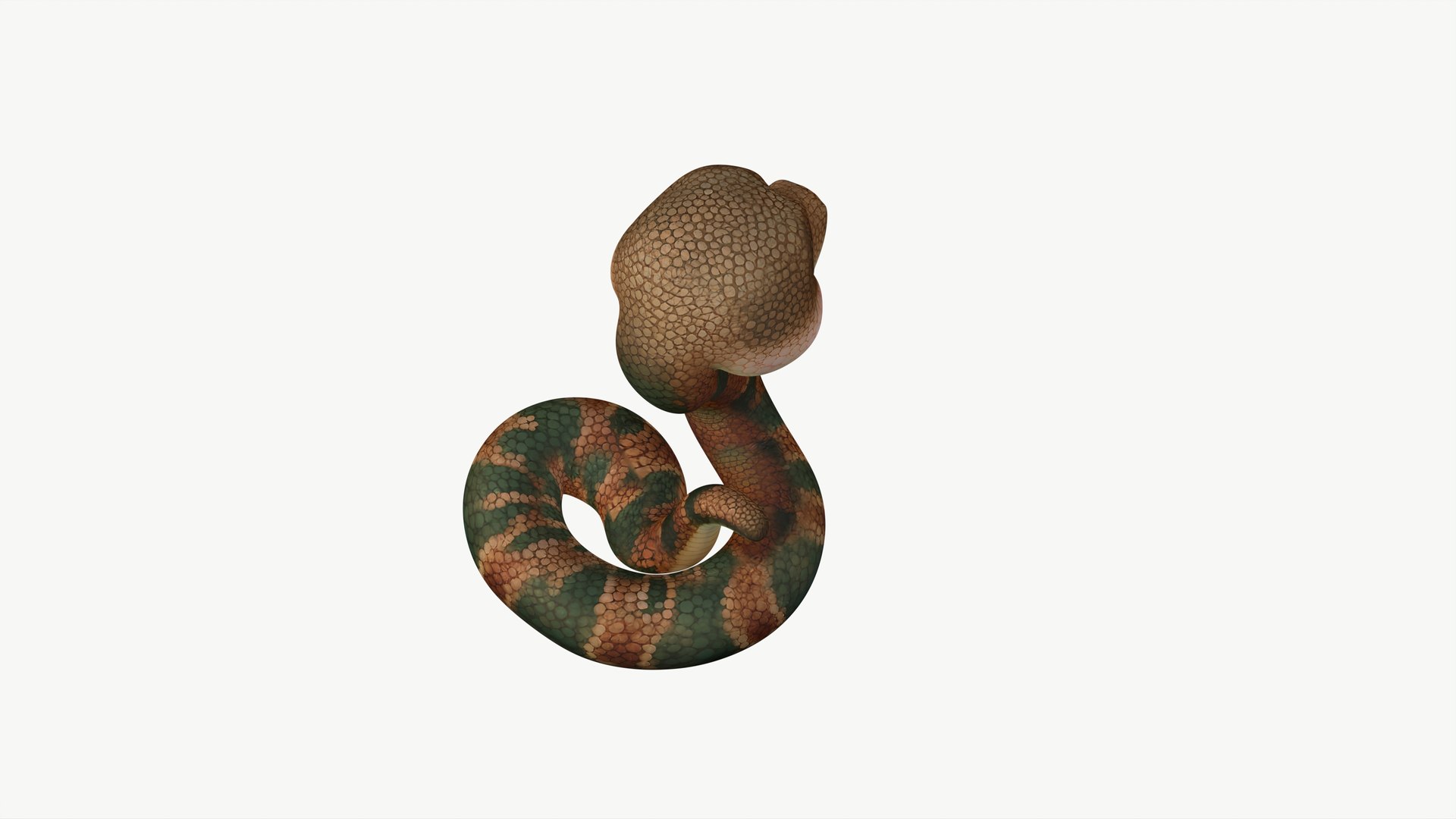 Realistic Cute 3D Snake Character 3D Model - TurboSquid 2460629