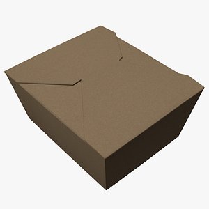 3D Takeout Food Box