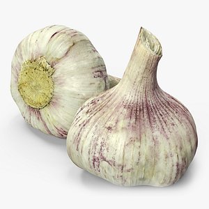 Garlic Bulb