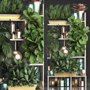 3D vertical exotic plants
