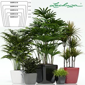 3d plants lechuza quadro ls model
