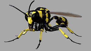 3D Potter Wasp
