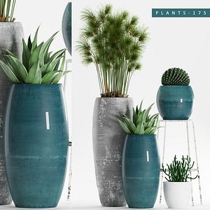 3D plant 175