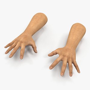 3d model man hands 2 pose