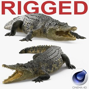 crocodile rigged 3d c4d