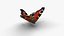 Mariposa polígono bajo - Aglais io