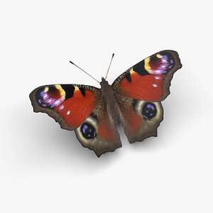 Low polygon butterfly - Aglais io 3D