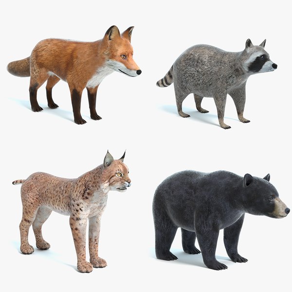 modelo 3d Conjunto de animales 2 - TurboSquid 1197525