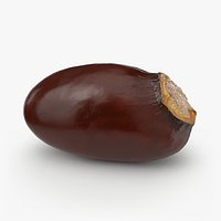 Lychee Seed - 3D Scanned