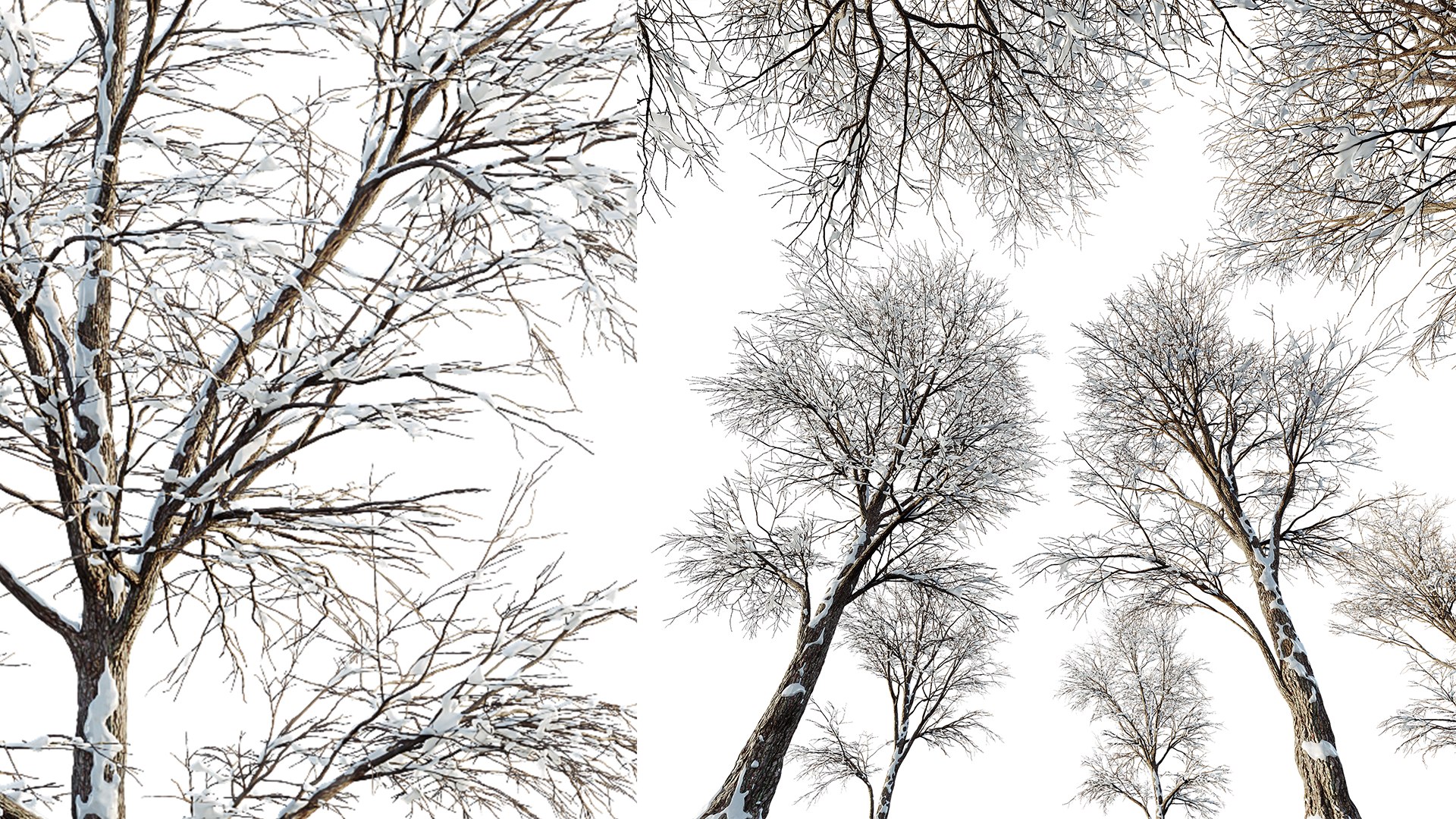 3D AV Plants Angel Oak Live Tree Spanish Moss Winter Snow Tree https://p.turbosquid.com/ts-thumb/V0/wIJMK4/yJ/05/png/1737530147/1920x1080/fit_q87/1ded32e436ac1d684cd8f2cb0bd18770ef9a66dd/05.jpg