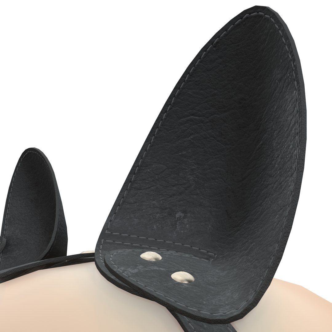 3D model BDSM Black Leather Face Gag Strap Animal Ears https://p.turbosquid.com/ts-thumb/V1/FU7D0C/2H/19/png/1632260789/1920x1080/fit_q87/8aa6e4edbf2f9c5de6c16df9f637e364de8970a9/19.jpg