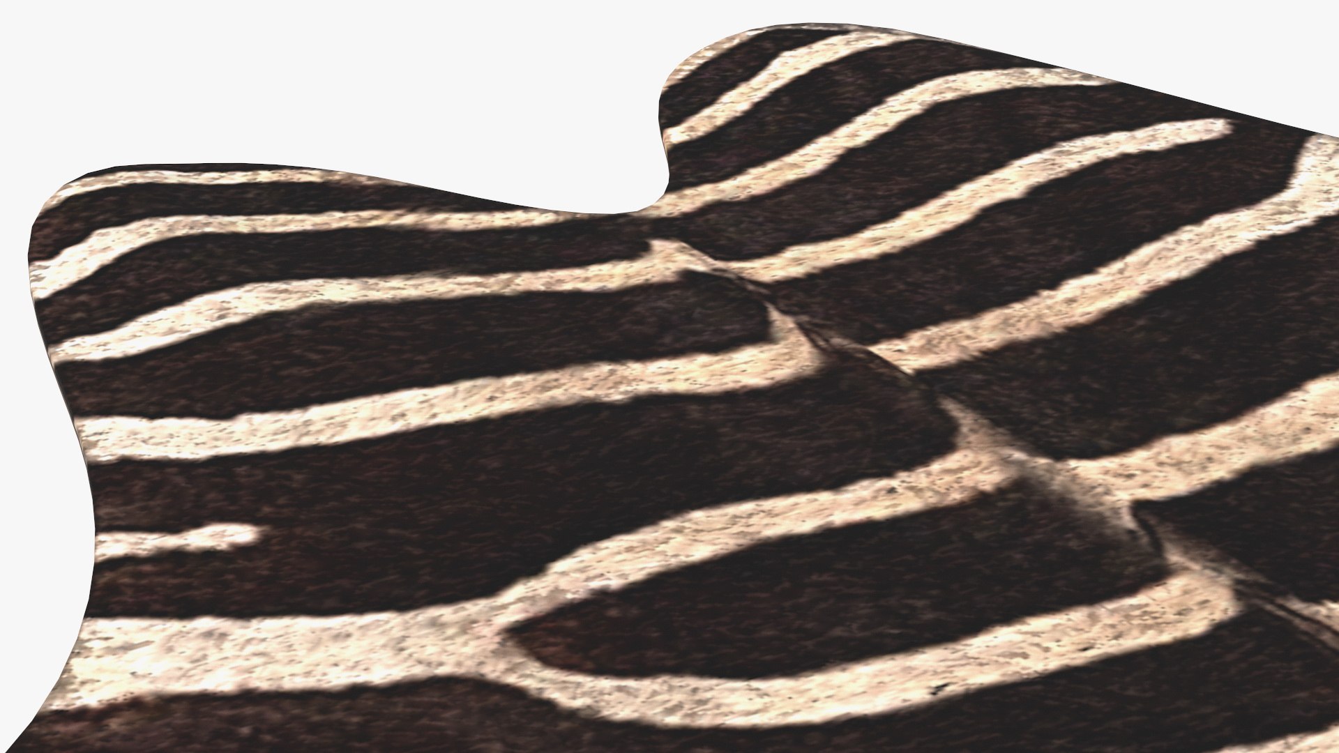 3D Zebra Hide Rug https://p.turbosquid.com/ts-thumb/V1/GoAfEx/9O/zebrahiderug3dmodel011/jpg/1643784833/1920x1080/fit_q87/a726985f765eb6af7faa235766b9070b614efc01/zebrahiderug3dmodel011.jpg