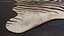 Zebra Hide Rug