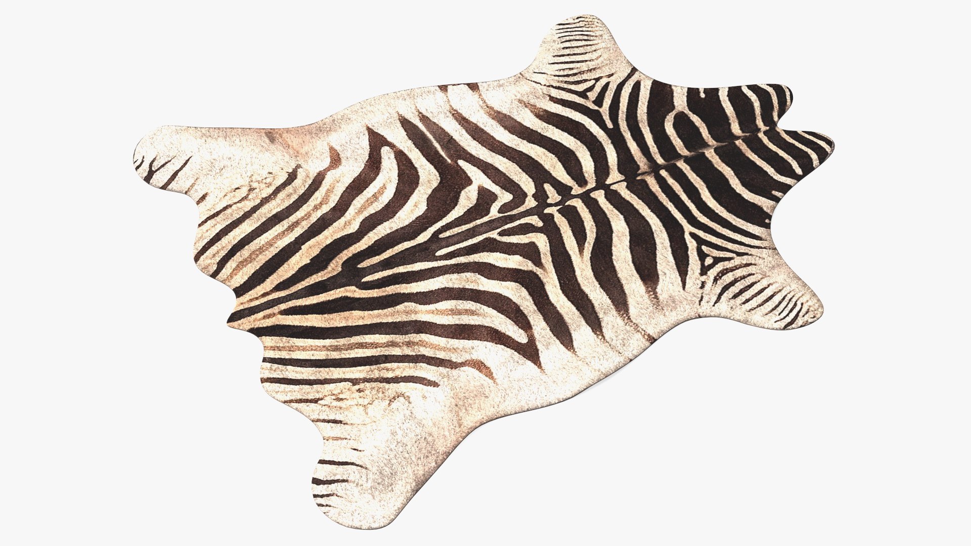 Zebra Hide Rug 3D model preview