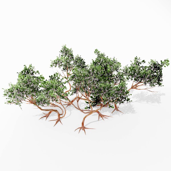 Manzanita tree 3D - TurboSquid 1446655