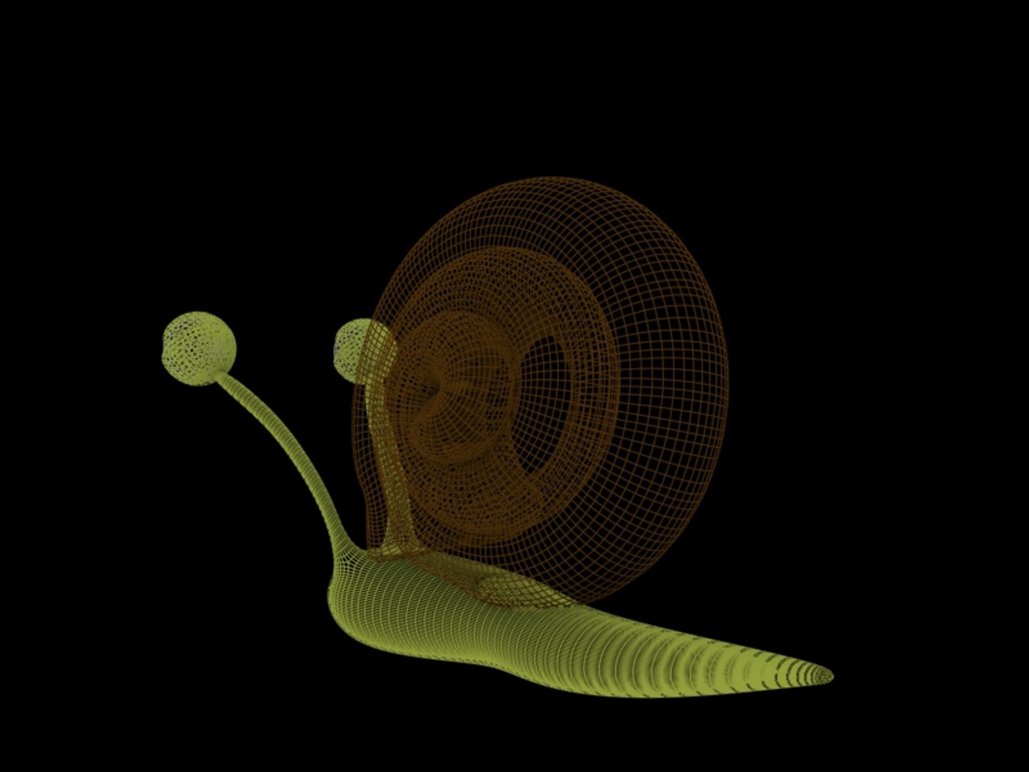 3d snail model https://p.turbosquid.com/ts-thumb/V1/Y5mRjf/dHqpnBlS/snail3/jpg/1290853217/1920x1080/fit_q87/7210591db6d87e0efd08b2a771ee18ff88adac9f/snail3.jpg