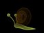caracol