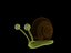 caracol